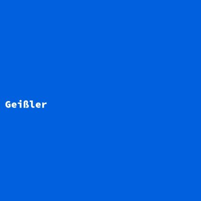 Hersteller: Geißler