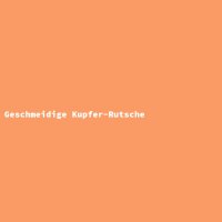 Geschmeidige Kupfer-Rutsche