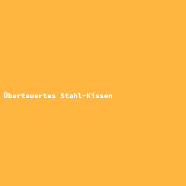 &Uuml;berteuertes Stahl-Kissen