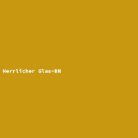 Herrlicher Glas-BH