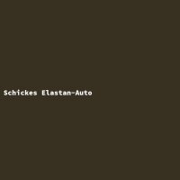Schickes Elastan-Auto
