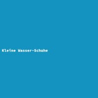 Kleine Wasser-Schuhe